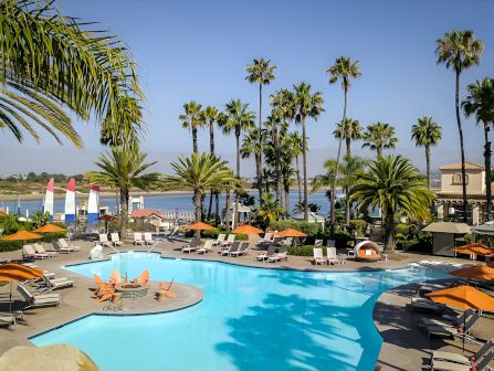 A sunny resort pool area with palm trees, lounge chairs, umbrellas, and a view of the ocean beyond the water&rsquo;s edge, perfect for relaxation.