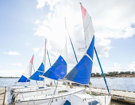 A docked sailboat fleet with blue and white sails sits on calm water under a bright sky.