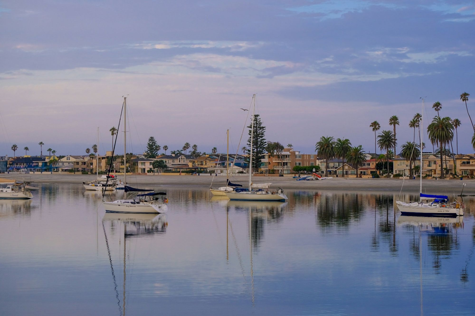 Sailboats anchored in a calm harbor at dusk, mirrored waters reflecting palm-lined houses along the shore.