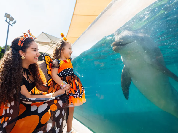 Two smiling girls in matching butterfly-themed outfits watch a dolphin through a glass tank, sharing a magical moment together.