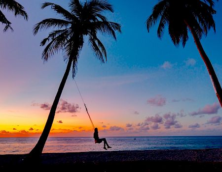 A sunset on a tropical beach with palm trees, a person swinging from a rope between two trees, and calm waves meeting the shore. ends.