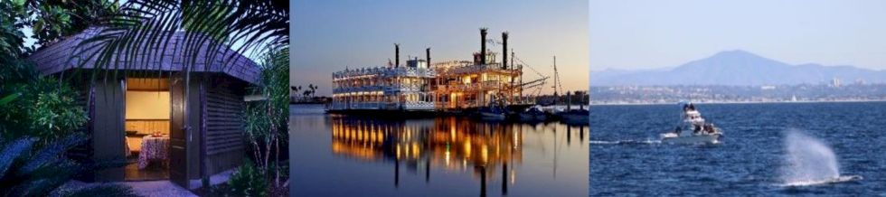 A triptych: a cozy hut tucked among tropical plants at dawn; a lit-up industrial ship or refinery on calm waters; a speedy boat spraying water across a bay with distant mountains.