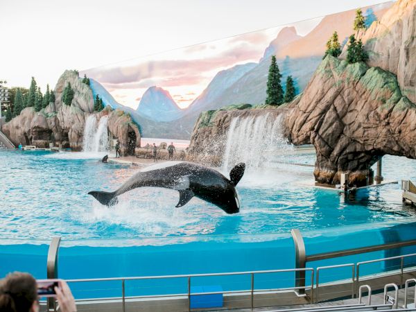 Dolphin jumping out of a blue pool at a seaside-themed aquarium, with rocky artificial cliffs, waterfall backdrop, and onlookers nearby, 140 characters exactly.