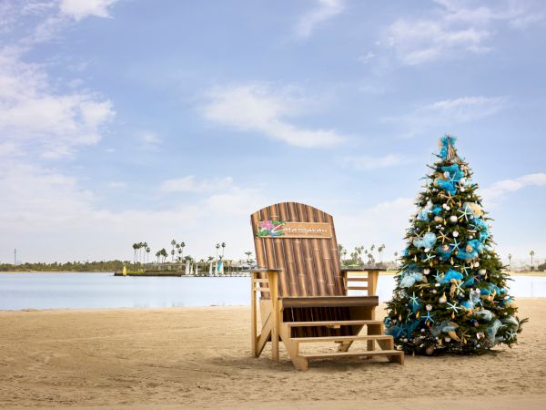 Discover Mission Bay