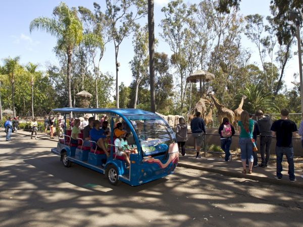 A blue open-air safari tram with passengers drives along a zoo path lined by tall tropical trees.