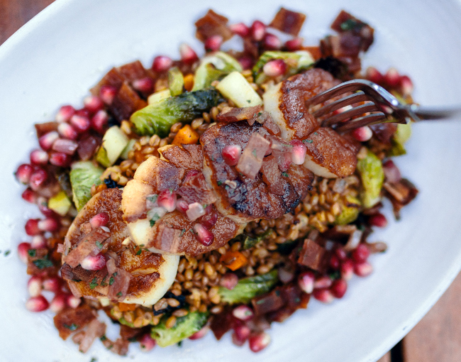landing_farro-salad